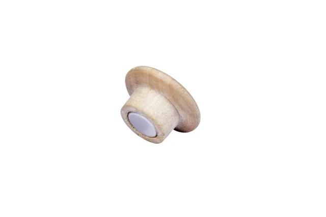 Magneet Legamaster hout 5 stuks by Legamaster – product photo