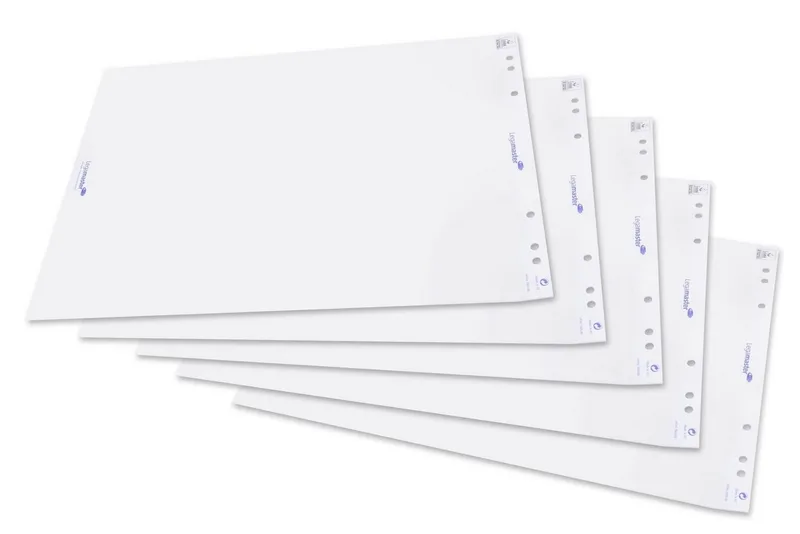 Schaschlikspieße Legamaster 7-156000 5er Flipchart-Papier blanko van Legamaster – productfoto
