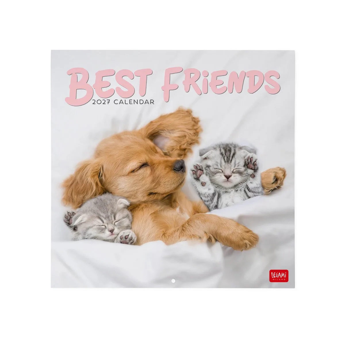 Dieren - Best Friends Kalender 2027 van Legami in Lichtbruin wit grijs – productfoto
