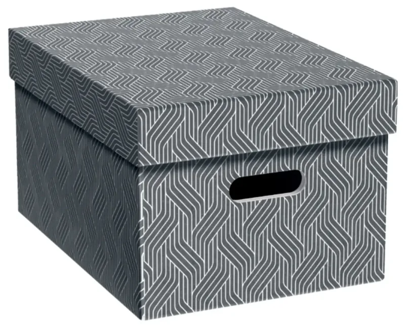 Aufbewahrungsbox VON Grau 15 l (B x H x T) 265 x 205 x 365 mm 3 St. de Leitz – photo produit