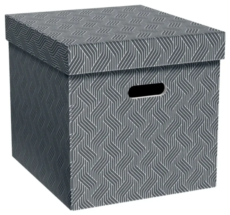 Aufbewahrungsbox VON Grau 29 l (B x H x T) 320 x 315 x 365 mm 3 St. de Leitz – photo produit