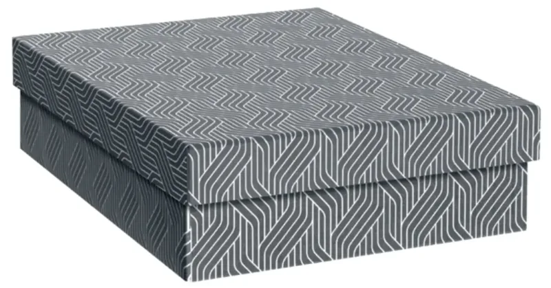 Aufbewahrungsbox VON Grau 7 l (B x H x T) 265 x 205 x 365 mm 3 St. by Leitz – product photo