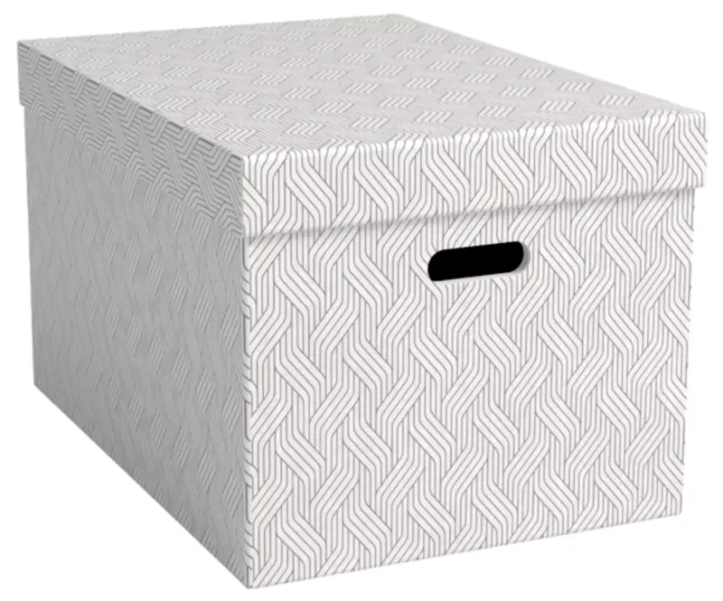 Aufbewahrungsbox VON Weiß 46 l (B x H x T) 355 x 305 x 510 mm 3 St. de Leitz – photo produit