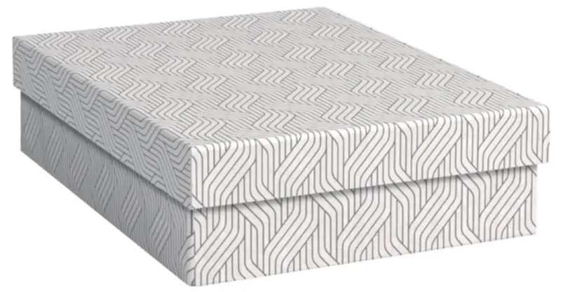 Aufbewahrungsbox VON Weiß 7 l (B x H x T) 265 x 100 x 365 mm 3 St. by Leitz – product photo