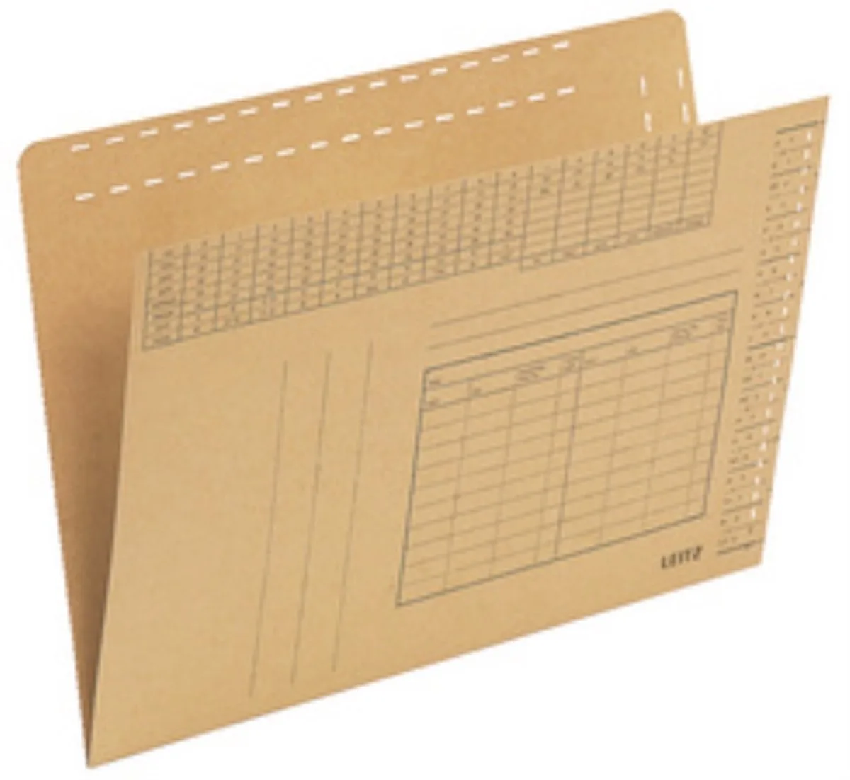 hangmap Org.Dr A4, natronkarton 250 g/m², 100 stuks by Leitz – product photo