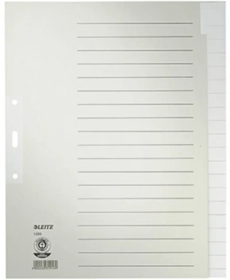 Leitz 1220 Register DIN A4, Überbreite blanko Tauenpapier Grau 20 Registerblätter 12200085 von Leitz – Produktfoto