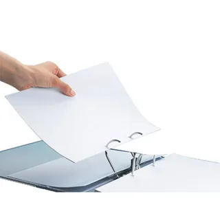 Ordner Leitz 1015 180° 52mm PP A4 lichtgroen von Leitz – Produktfoto 2 von 2