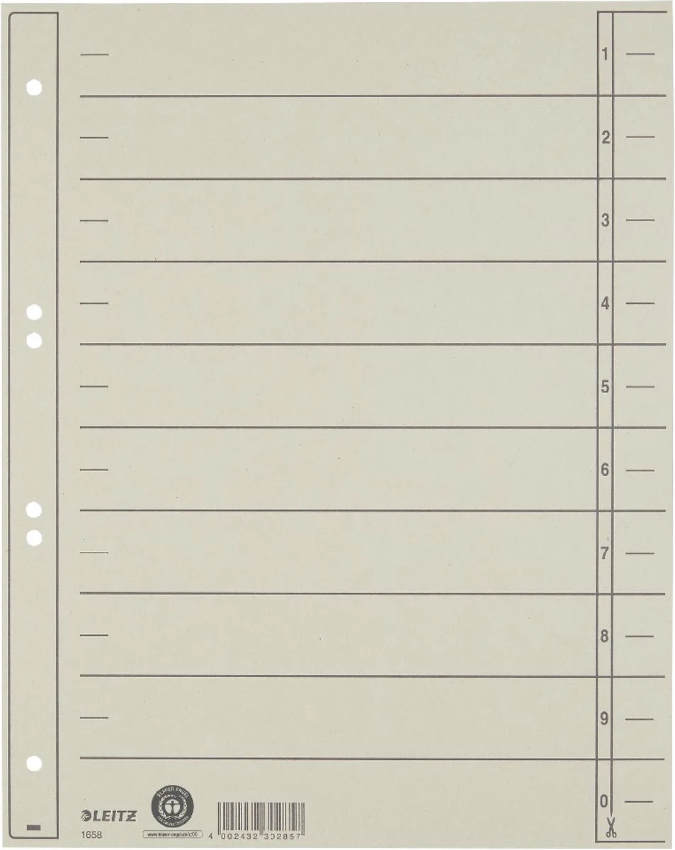 Staffeltabblad Karton - Beschrijfbare Tabs, 2/4-rings - Voor Ordners en Ringbanden by Leitz in Grey – product photo