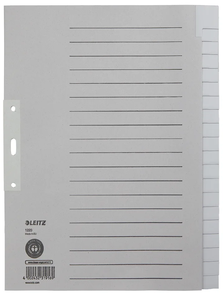 Tauenpapier-Register, blanko, A4, 20-teilig, grau by Leitz – product photo