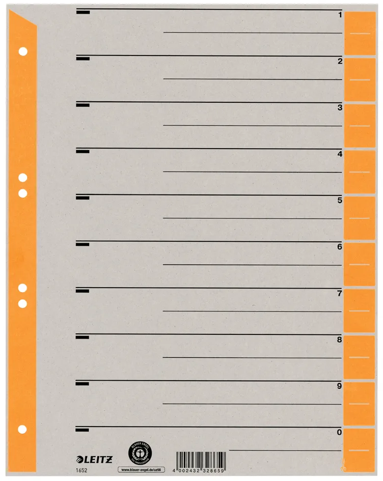 Trennblätter, A4 Überbreite, Kraftkarton 230g/qm by Leitz – product photo