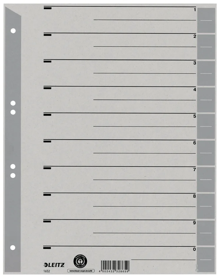 Trennblätter, A4 Überbreite, Kraftkarton 230g/qm, grau by Leitz – product photo