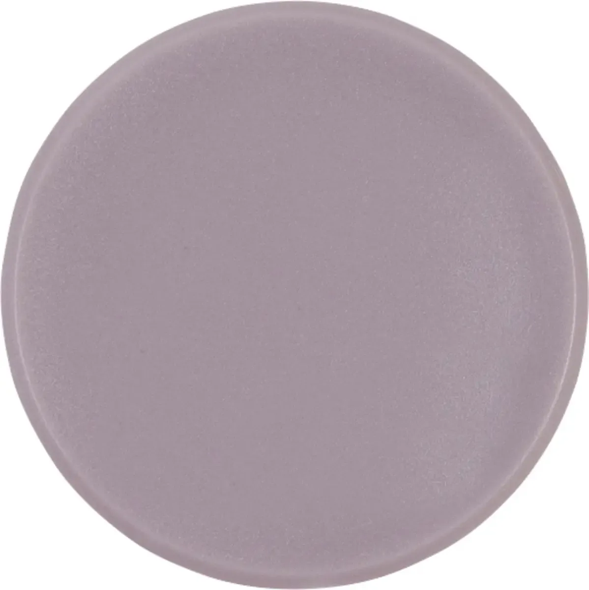 Magneet Basic Serie (Ø) 38 mm Rond 10 stuk(s) 1863801 von Magnetoplan in Grau – Produktfoto