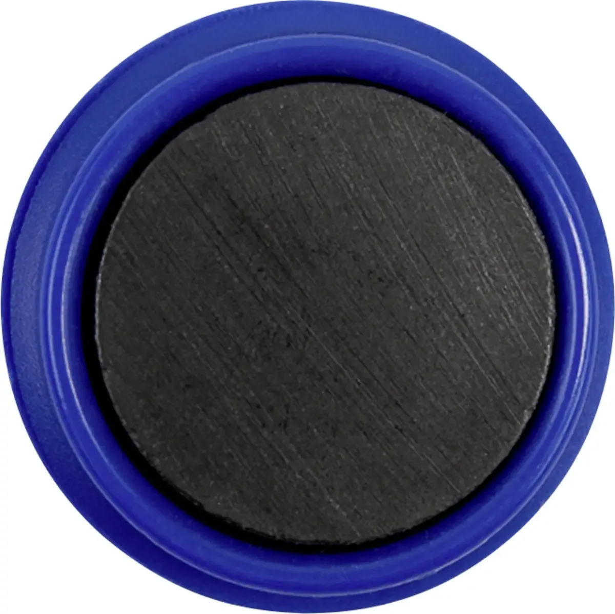 Magneet Basic Serie (Ø) 24 mm Rond 10 stuk(s) 1862403 von Magnetoplan in Blau – Produktfoto
