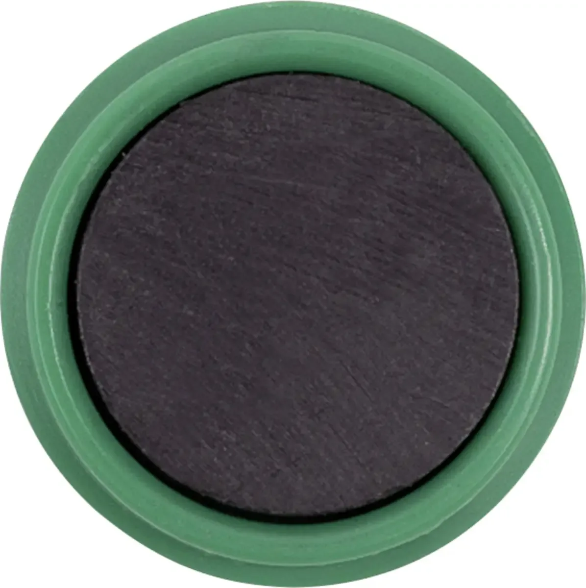 Magneet Basic Serie (Ø) 38 mm Rond 10 stuk(s) 1863805 von Magnetoplan in Grün – Produktfoto