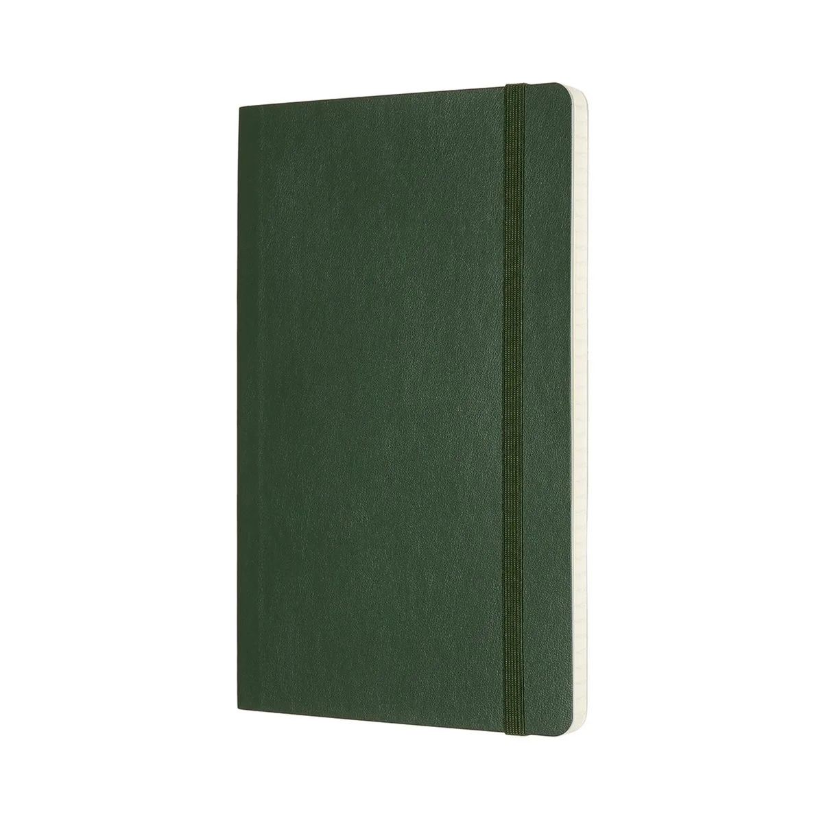 Classic Notitieboek - Large - Softcover - Geruit - Mirte de Moleskine en Vert – photo produit