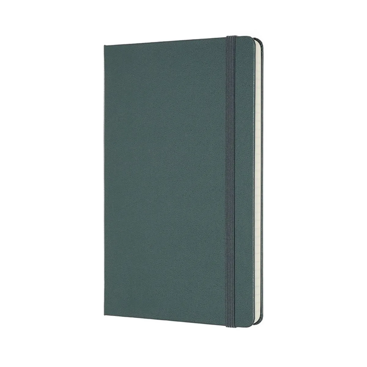 Professional Notitieboek - Large - Hardcover - Bos från Moleskine i Grön – produktbild