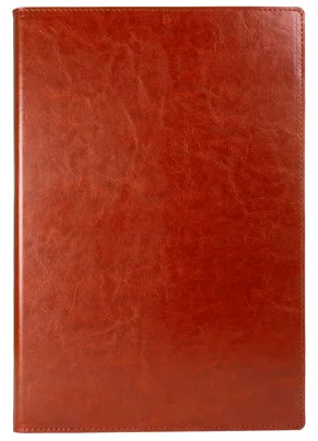 Sichtbuch , Hannibal, , A4, 10 Hüllen, cognacfarben fra Multo – produktbillede