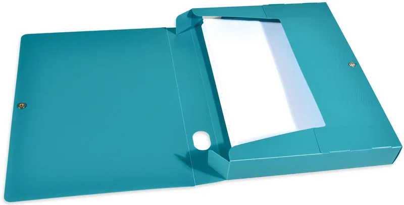 Sammelbox Osmose, DIN A4, PP, Füllhöhe: 40 mm, farbig van Oxford – productfoto