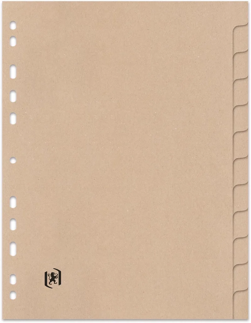 Touareg tabbladen, uit karton, ft A4, onbedrukt, 11-gaatsperforatie, 12 tabs by Oxford – product photo