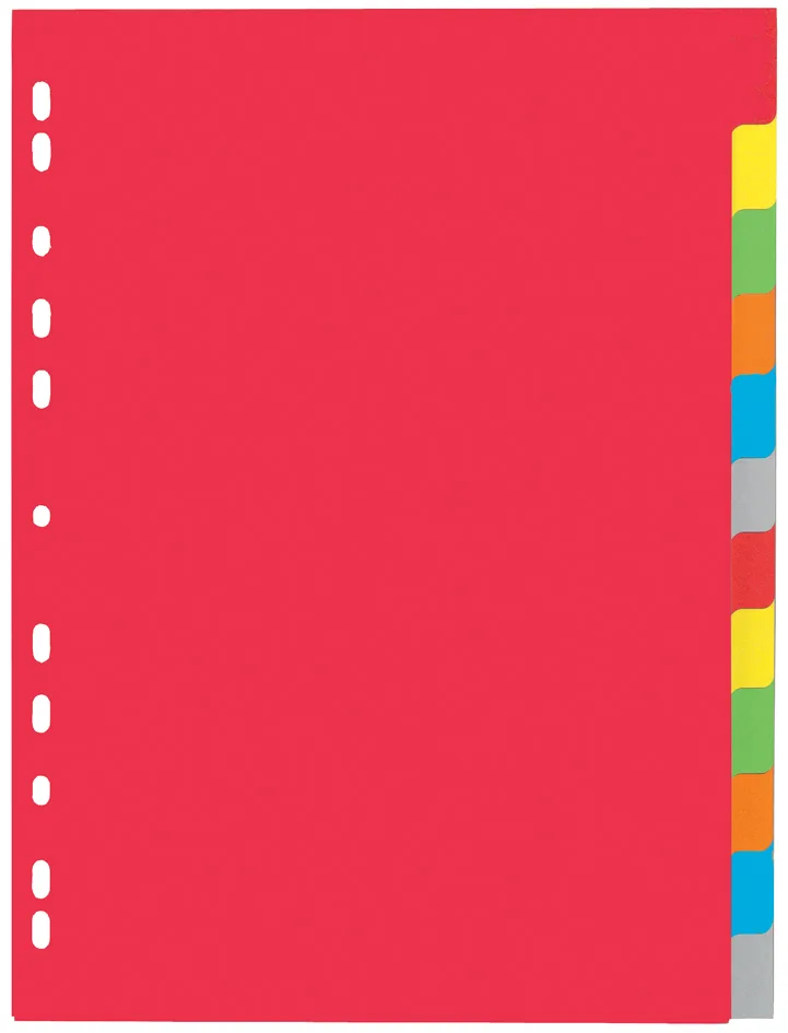 Karton-Register, DIN A4, 12-teilig, 6-farbig von Pagna – Produktfoto