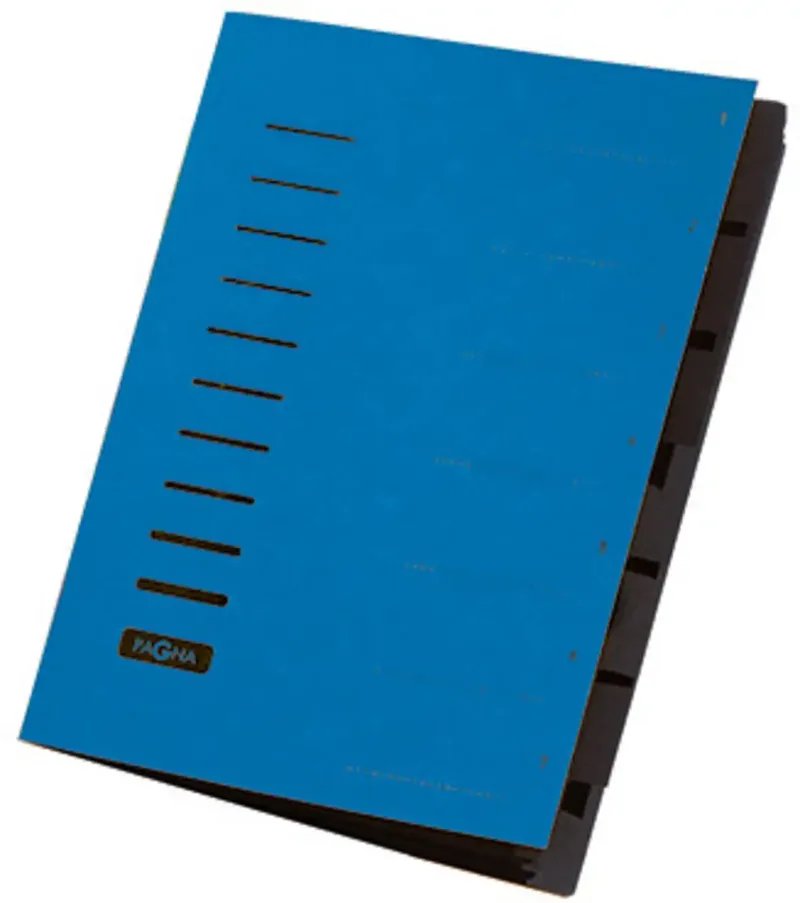 Pagna 40058-02, Blau, Porträt, A4, 245 mm, 320 mm 1554277 Ordner DIN A4 Pressspankarton Aantal vakken: 7 von Pagna in Blau – Produktfoto