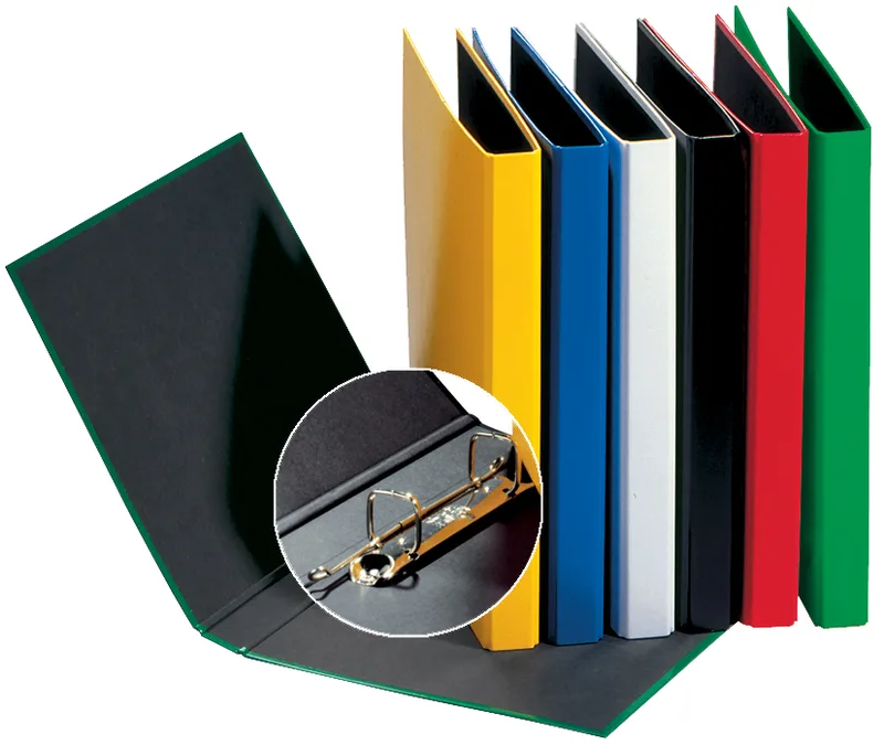 Ringbuch , Basic Colours, , 2 Bügel-Mechanik, grün von Pagna – Produktfoto