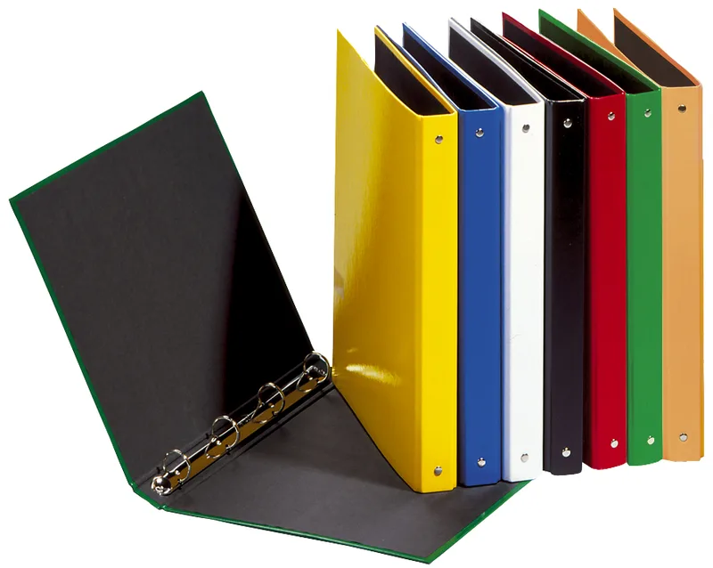 Ringbuch , Basic Colours, , 4 Ring-Mechanik, grün från Pagna – produktbild