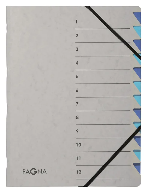 Sorteermap Pagna Easy A4 12 tabs grijs by Pagna – product photo