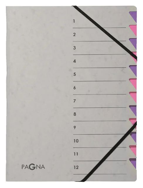 Sorteermap Pagna Easy A4 12 tabs grijs by Pagna – product photo
