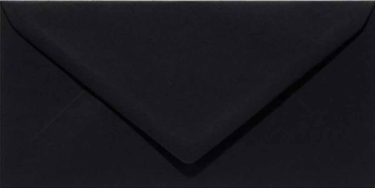 Envelop | DL 110 x 220 | Ravenzwart | 6 stuks (305901) de Papicolor en Ravens Zwart – photo produit
