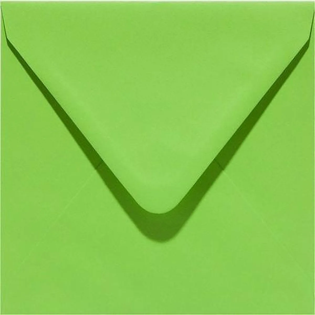 Envelop vierkant 14 centimeter 105gr-CV 6 stuks - 140x140 mm de Papicolor en Lentegroen – photo produit