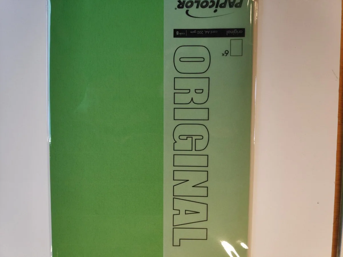 Original Papier A4 200 gsm 6 Sheets de Papicolor en Grasgroen – photo produit