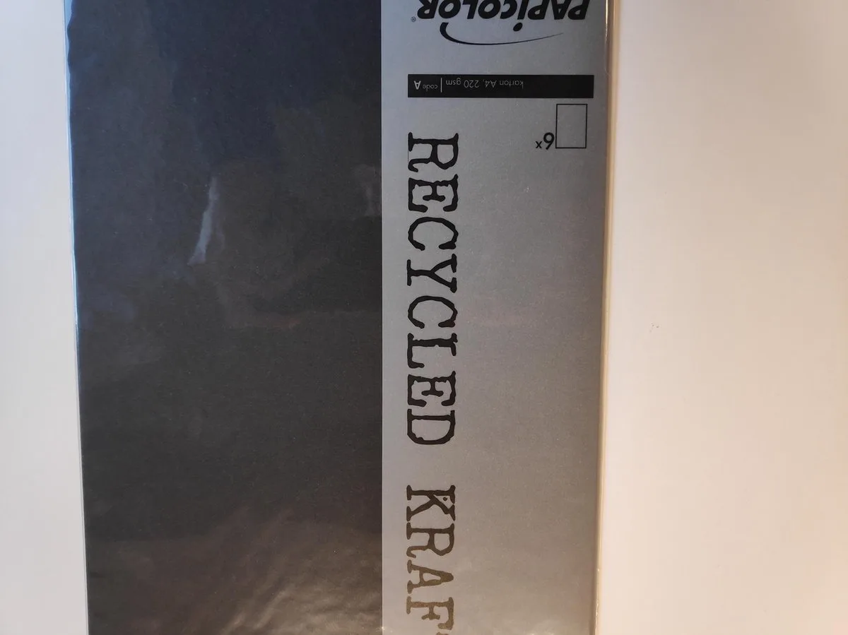 Recycled Papier A4 220 gsm 6 Sheets van Papicolor in Zwart – productfoto