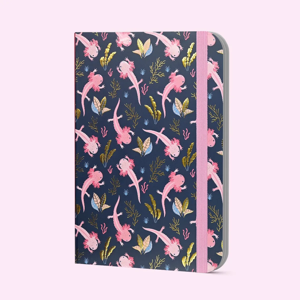 Mid size notitieboek Peter Pauper Axolotls van Peter Pauper in Meerkleurig – productfoto