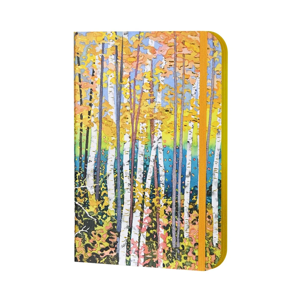 Notitieboek / Compact Journal Peter Pauper - Aspen Forest - met elastieksluiting - 13x18 cm van Peter Pauper in Meerkleurig – productfoto