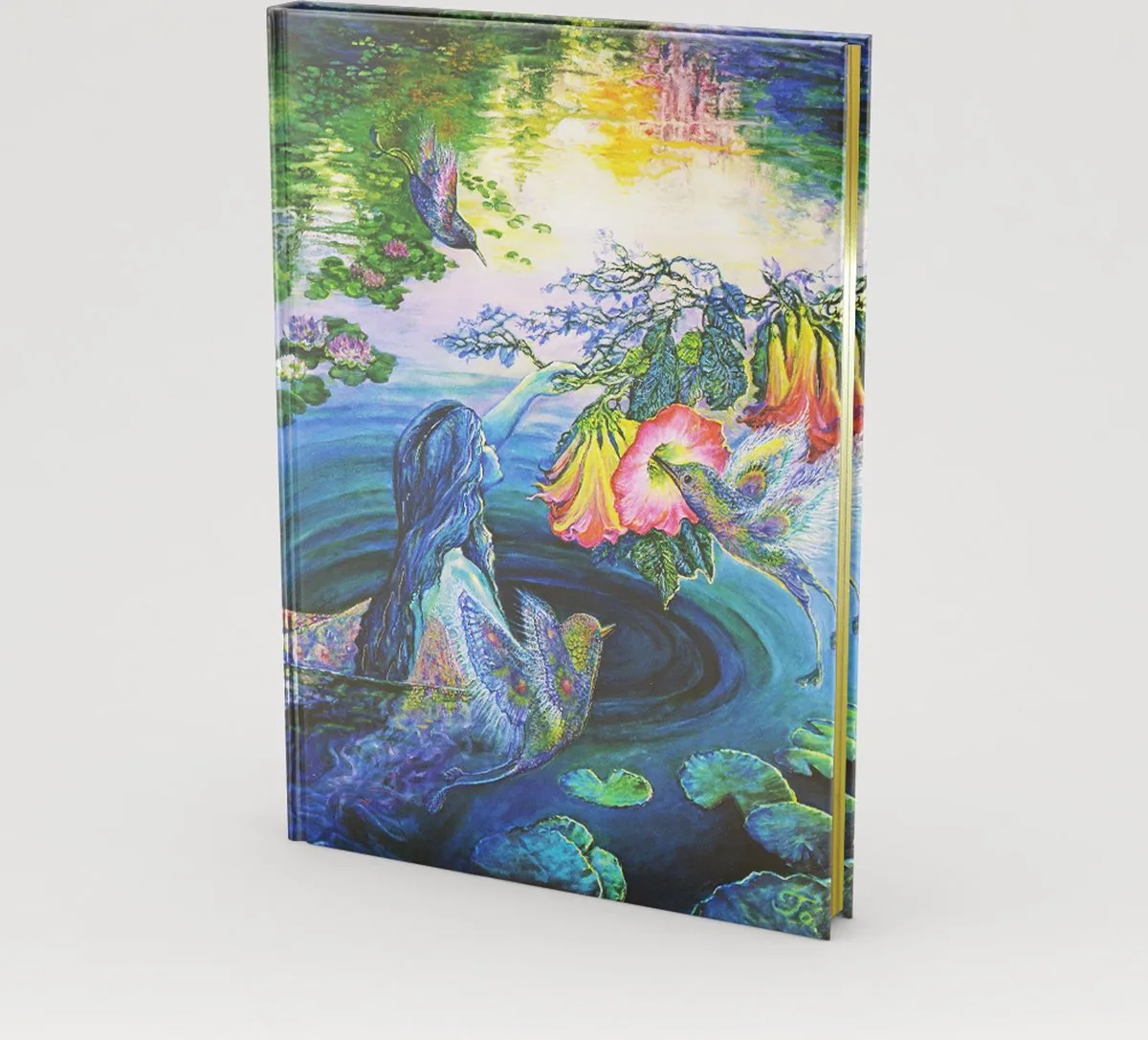 Oversize notitieboek - Hummingbird Dreams - 18x23 cm de Peter Pauper en Multicolore – photo produit