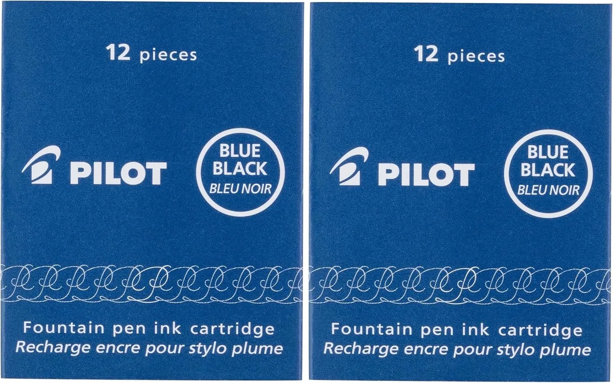Namiki IC100 Vulpen Inkt Cartridges (2 Stuks) fra Pilot i Blå, Sort – produktbillede