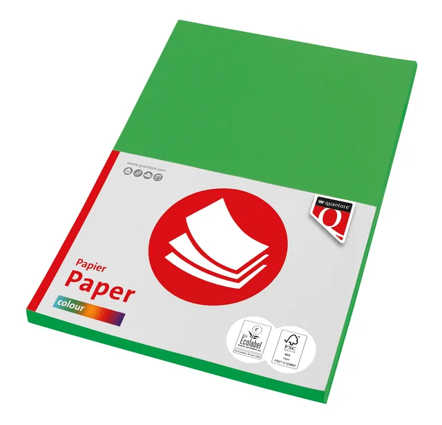 Kopieerpapier Quantore Colour A4 160gr grasgroen 50 vel van Quantore – productfoto