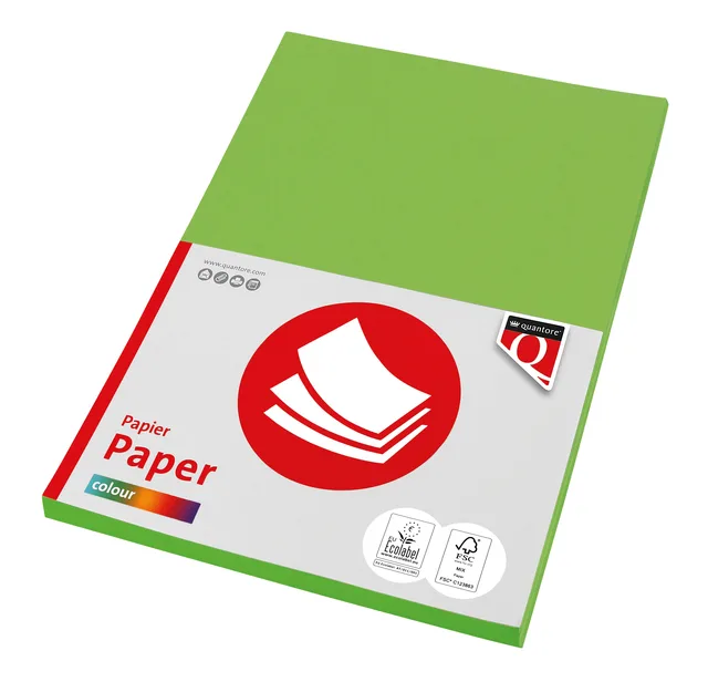 Kopieerpapier Quantore Colour A4 160gr helgroen 50 vel by Quantore – product photo
