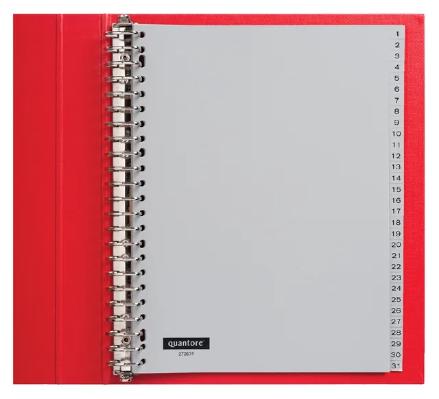 Tabbladen Quantore 23-gaats 1-31 genummerd grijs PP by Quantore – product photo