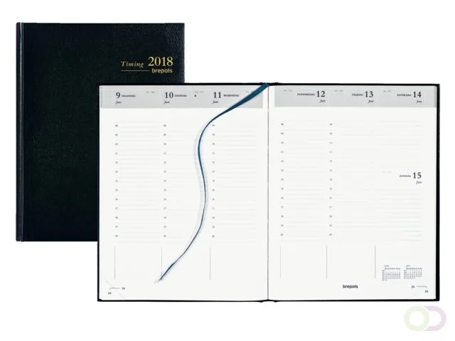 Agenda 2027 Ryam Efficiency Baladek 1dag/1pagina bordeaux van Ryam – productfoto