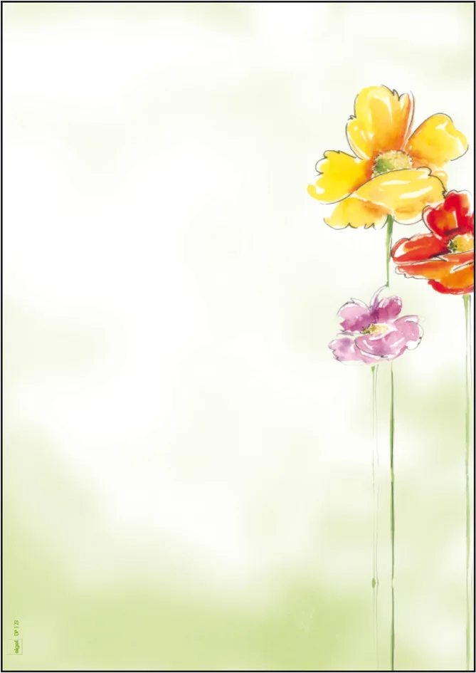 Design-Papier, DIN A4, 90 g/qm, Motiv , Spring Flowers de Sigel – photo produit