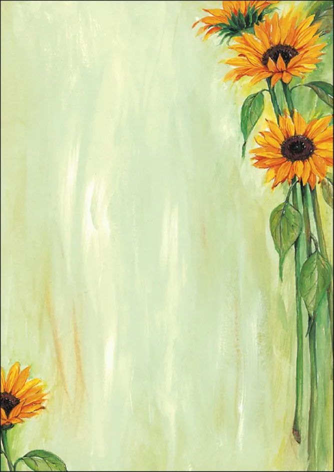 Design-Papier, DIN A4, 90 g/qm, Motiv , Sunflower by Sigel – product photo