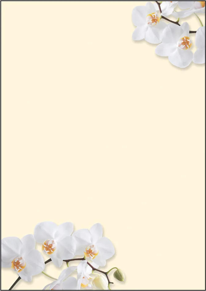 Design-Papier, DIN A4, 90 g/qm, Motiv , White Orchid von Sigel – Produktfoto