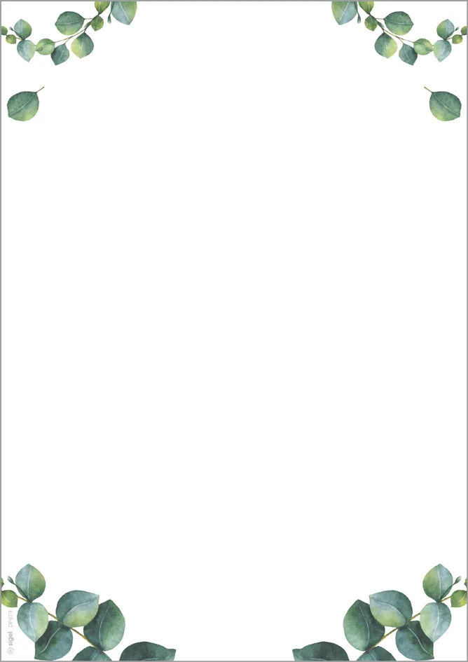 Design-Papier , Eucalyptus, , DIN A4, 90 g/qm, 2-spaltig von Sigel – Produktfoto