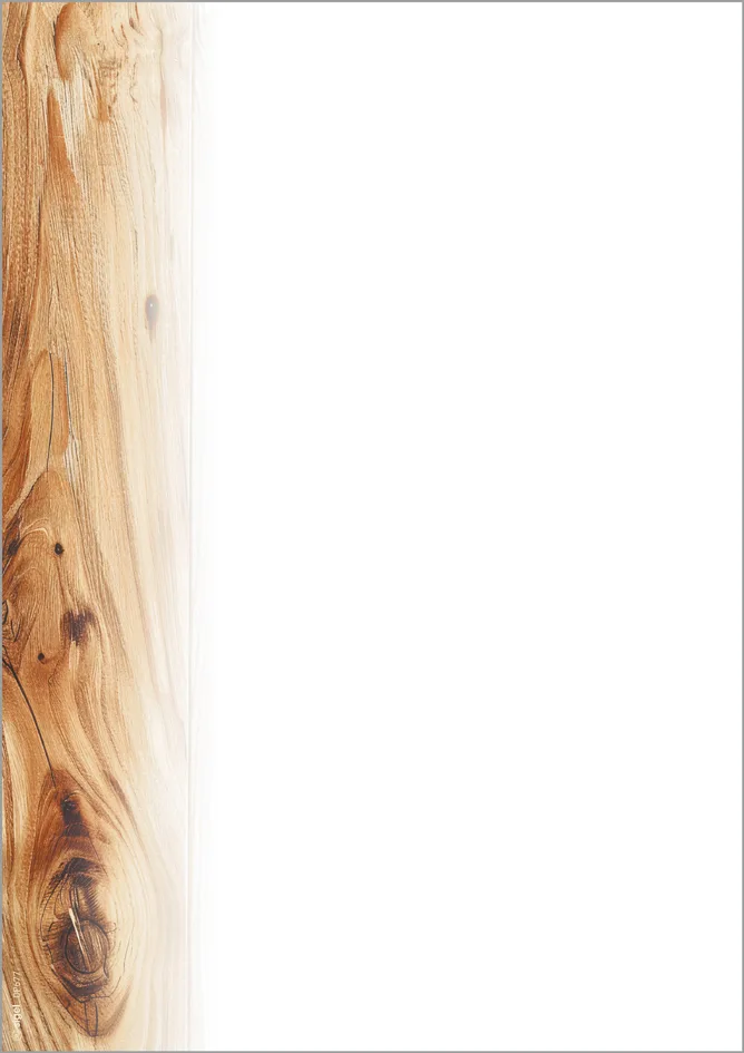 Design-Papier , Oak, , DIN A4, 90 g/qm de Sigel – photo produit