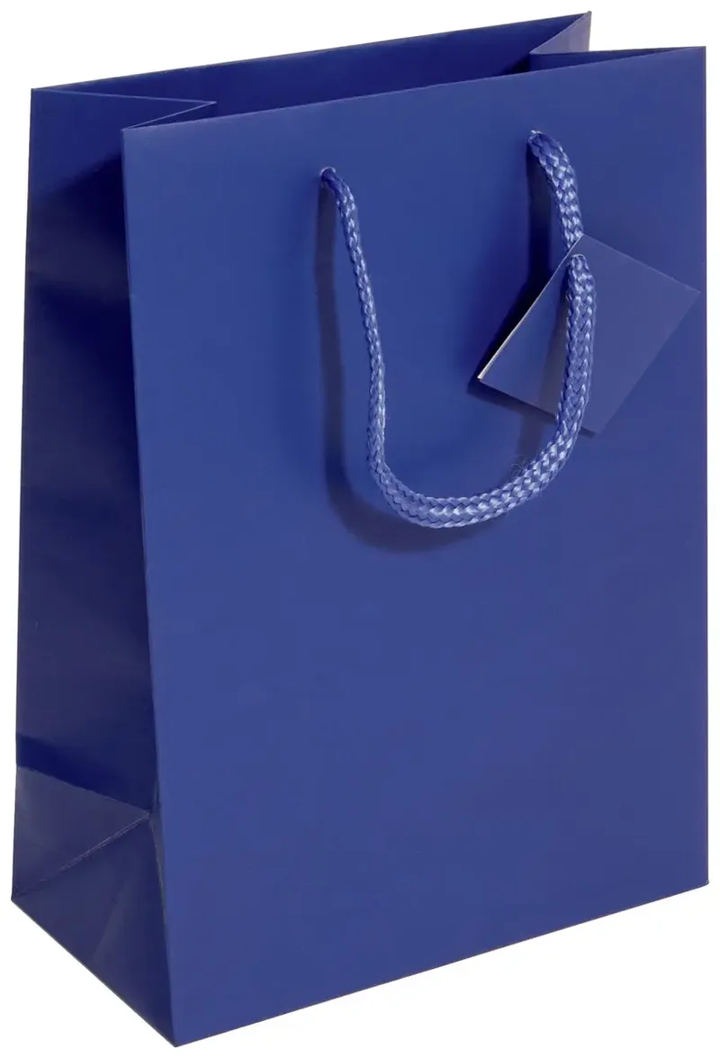 Geschenktasche Flasche mit Bodeneinlage und Geschenkanhänger GT504 Ultramarinblau, Matt Papier 17 x 23 cm 1 St. de Sigel – photo produit