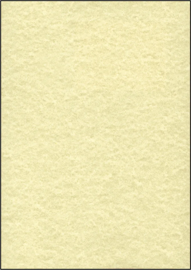 Struktur-Papier, A4, 90 g/qm, Perga champagne från Sigel – produktbild
